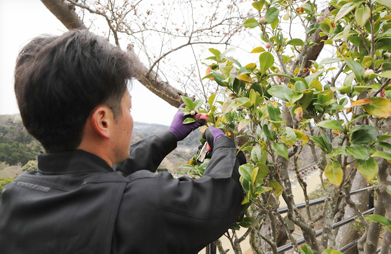 植栽管理